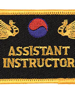 Geborduurde Assistent Instructeur badges - Danrho