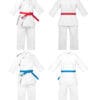 Karategi Kamikaze Premier Kata WKF omkeerbaar, schouders geborduurd in rood en blauw