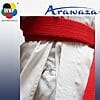 Karategi Karate Kata Deluxe Evo Combo Set - Premier League - rood - blauw