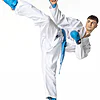 Karategi Tokaido Kumite Master K1 - Premiere League