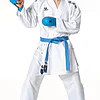Karategi Tokaido Kumite Master K1 - Premiere League