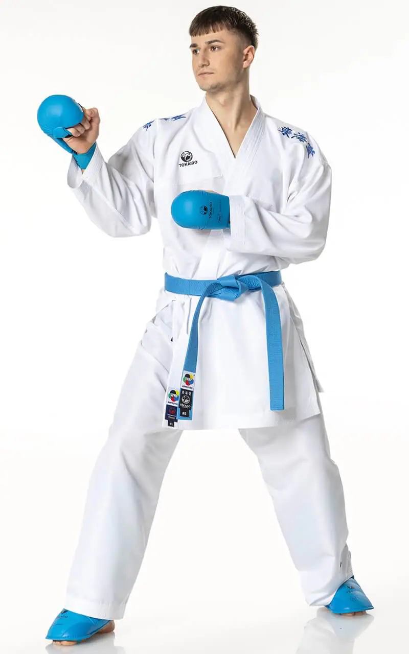 Karategi Tokaido Kumite Master K1 - Premiere League