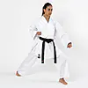 Karategi Training Fuji Mae