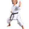Karategi Kaiten Saizen Nami