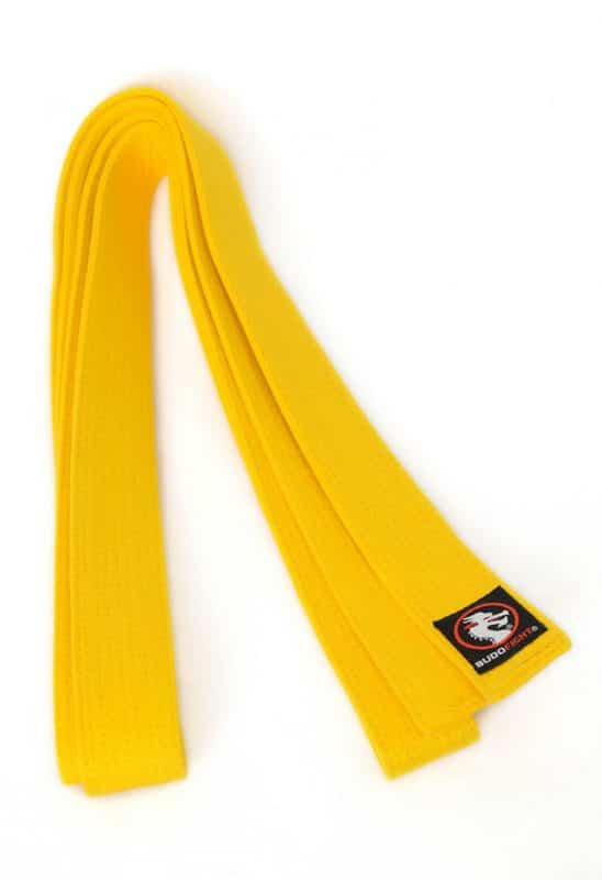 Karate-gi
