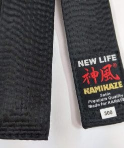 Kamikaze