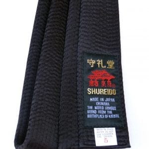 Riemen-Shureido