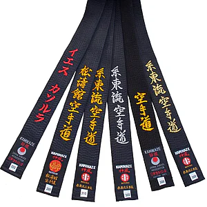 Karate zwarte banden
