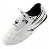schoenen-kunst-tokaido-atletiek