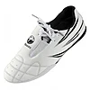schoenen-kunst-tokaido-atletiek