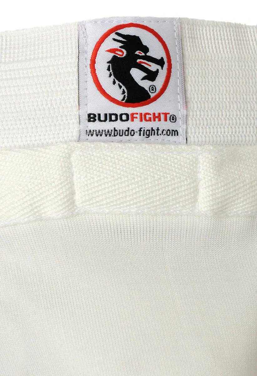 Budo Fight