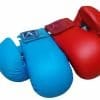 Arawaza karate handschoenen blauw of rood - WKF stijl