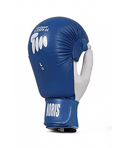 Karate handschoenen