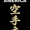 Karate-Gi