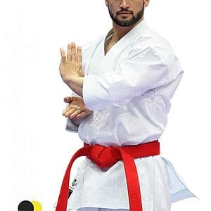 karategi's