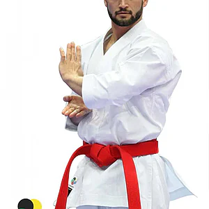 karategi's