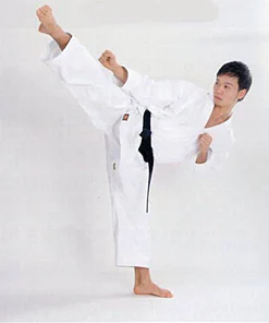 Karate-Gi