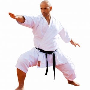 Multifunctionele karategi's