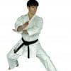 Kimono Hirota PINACK voor Kata - op maat gemaakt 2 Kimono Hirota PINACK voor Kata - karategi op maat