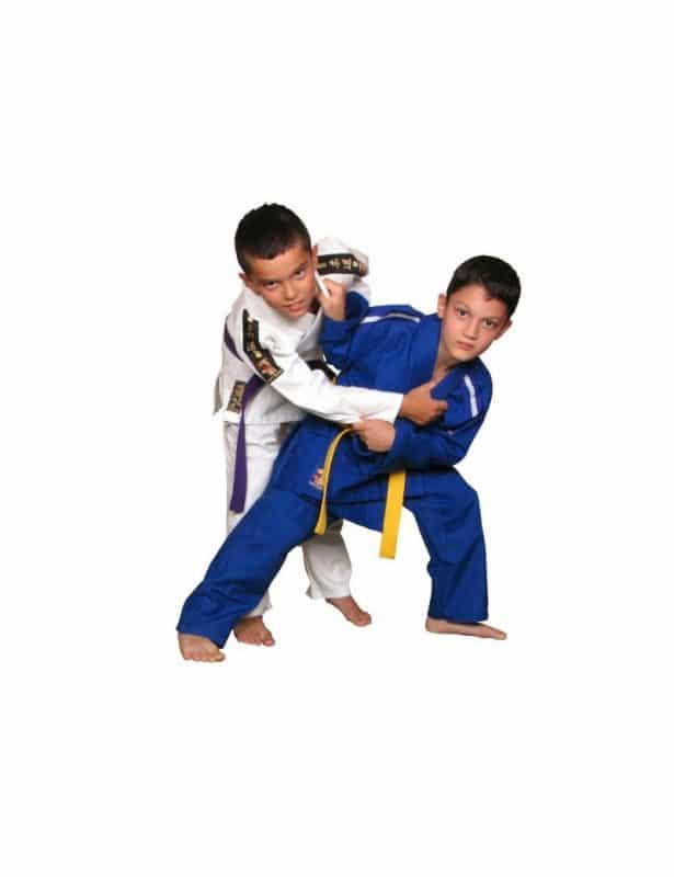 Karate-gi