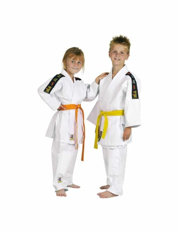 Karate-gi