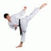 Karategi kumite Kaiten Nieuw dynamisch 7 Kaiten
