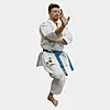 karategi