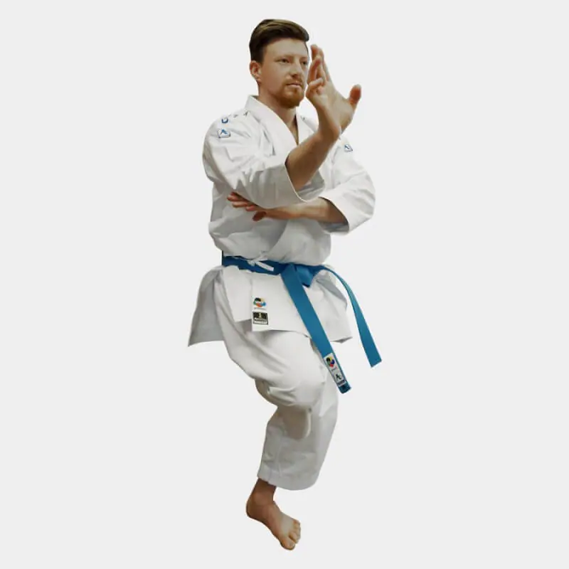 karategi