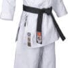 Karategi Bunkai 2.0