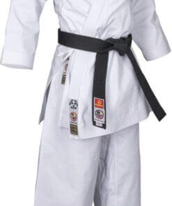 Karategi Bunkai 2.0