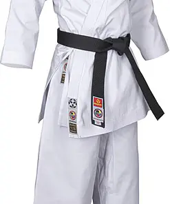 Karategi Bunkai 2.0