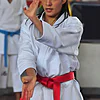karategi