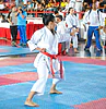 karategi