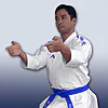 karategi