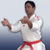 karategi