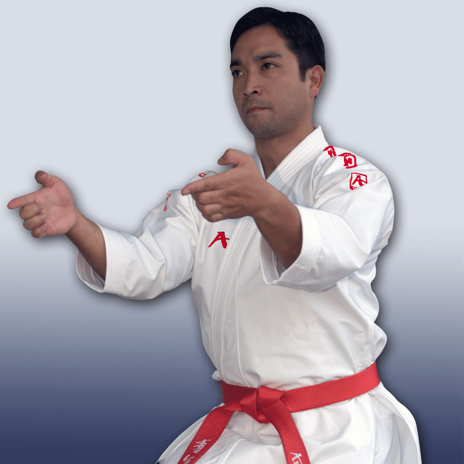 karategi