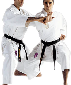karategi
