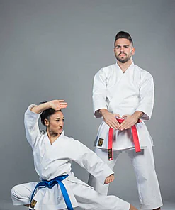 karategi