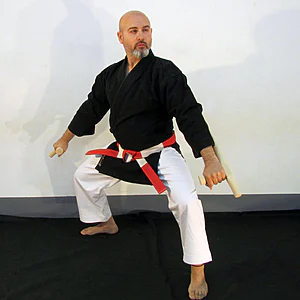 Karategi Kobudo