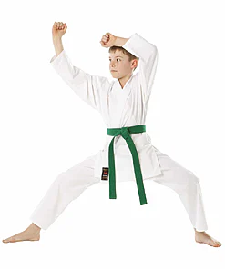karategi
