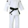 Karategi Ippon Budo Fight