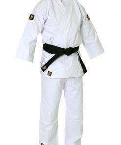 Karategi Ippon Budo Fight