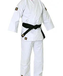 Karategi Ippon Budo Fight
