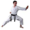 karategi