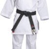 Karategi kumite