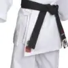 karategi