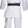 karategi