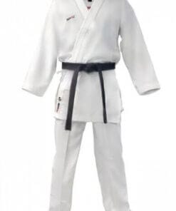 Karategi Kumite Pro-vechter