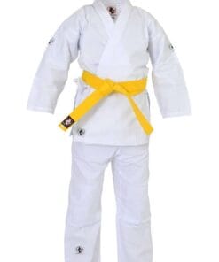 Budo Fight