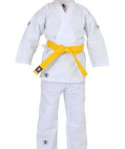 Budo Fight